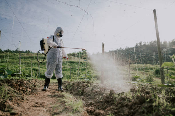 Best Affordable Pest Control Services  in Paoli, IN