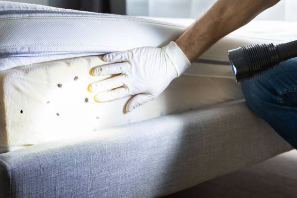 Best Best Pest Control Companies  in Paoli, IN
