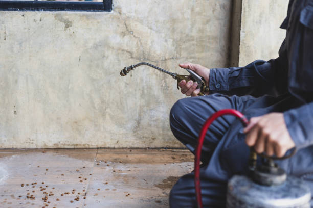 Best Residential Pest Control  in Paoli, IN